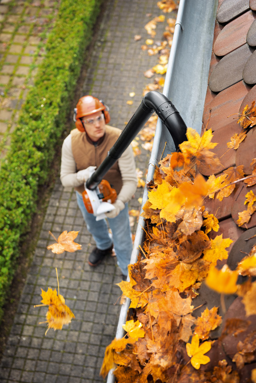 SOUFFLEUR A FEUILLES STIHL BGA 56 SAVOIE ISERE HAUTE-SAVOIE BONFILS MOTOCULTURE AUTOMNE FEUILLES 38 74 73 01.jpg